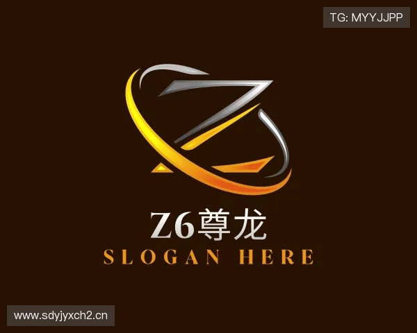 解读Z6尊龙